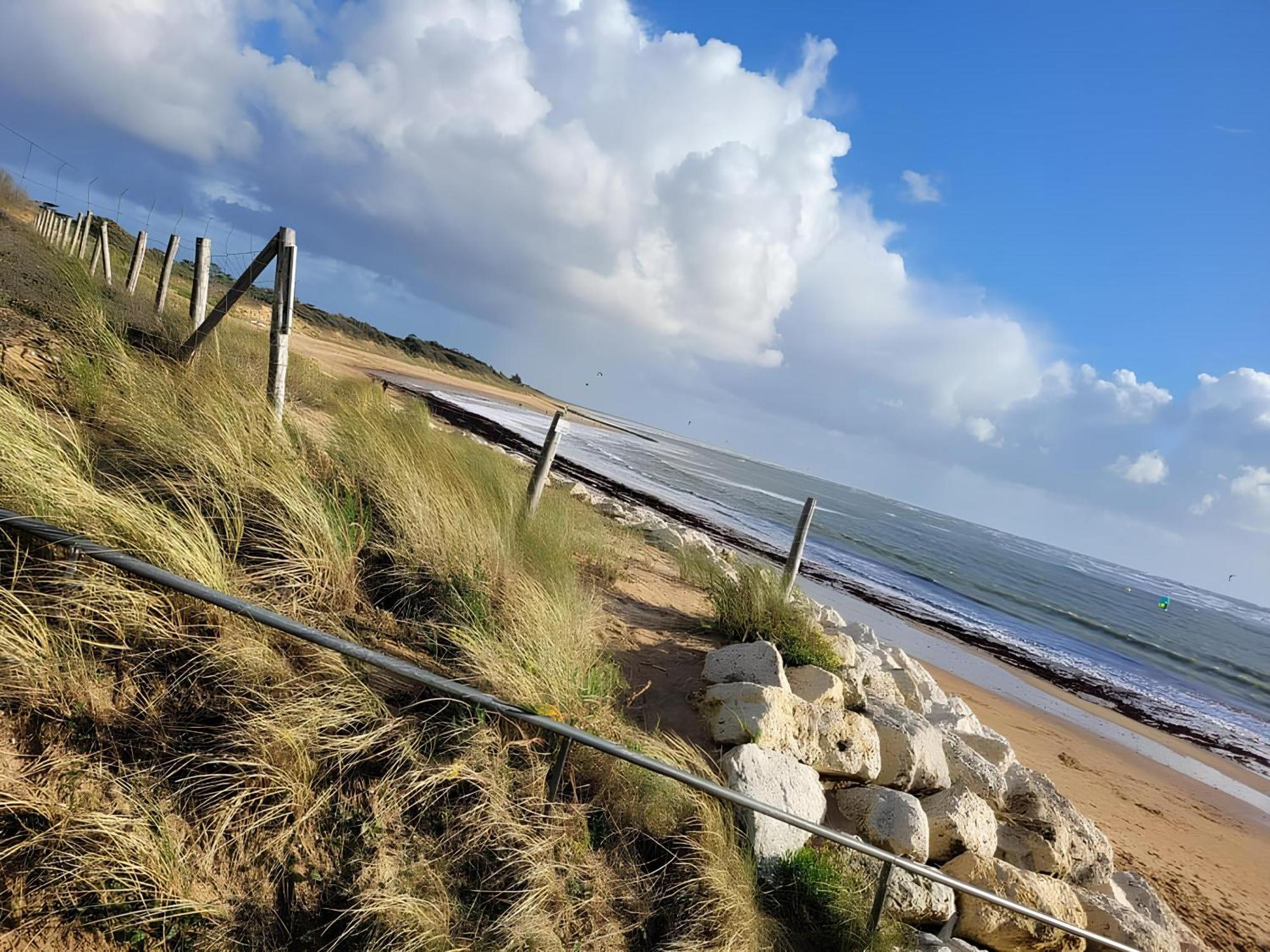 Appartement Aloha Ohana 4-6 Personnes A 400M De La Plage A Dolus D'Oleron Eksteriør billede